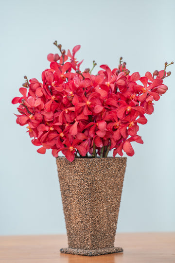 DN Red Orchids – 10 Pcs Fresh Premium Flowers