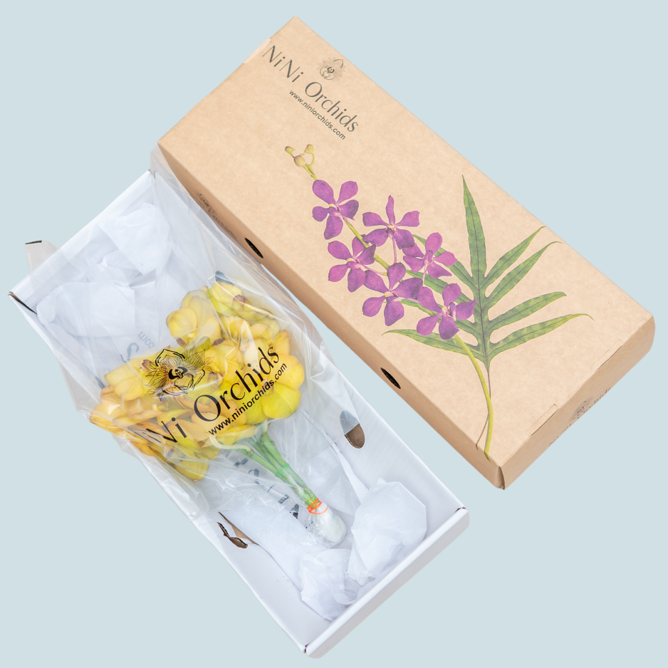 Yellow Vanda Orchids – 5 Pcs Fresh Premium Flowers