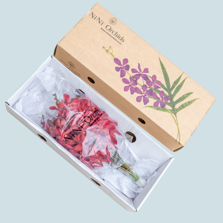 DN Red Orchids – 10 Pcs Fresh Premium Flowers