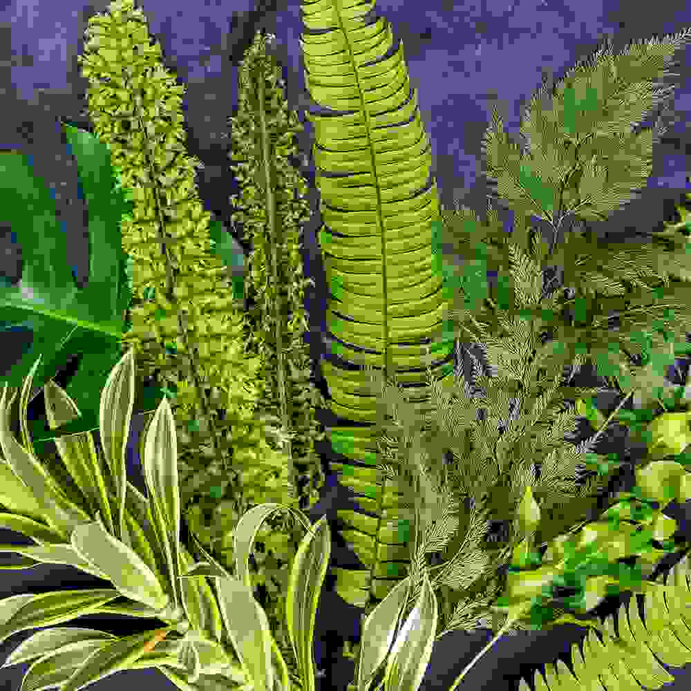 Boston Fern—Cut Foliages 10 Pcs featuring a vibrant mix of tropical greenery, including ferns, monstera, and variegated leaves on a dark background.