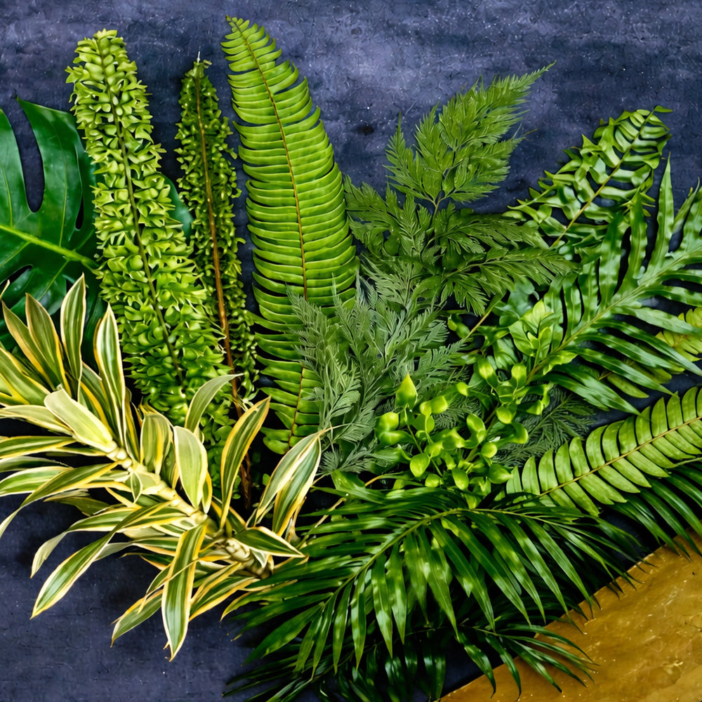 Boston Fern—Cut Foliages 10 Pcs featuring a vibrant mix of tropical greenery, including ferns, monstera, and variegated leaves on a dark background.
