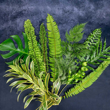 Boston Fern—Cut Foliages 10 Pcs featuring a vibrant mix of tropical greenery, including ferns, monstera, and variegated leaves on a dark background.