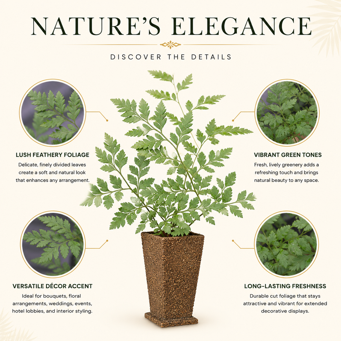 Leatherleaf Fern Foliage – Fresh Cut Leaves for Décor