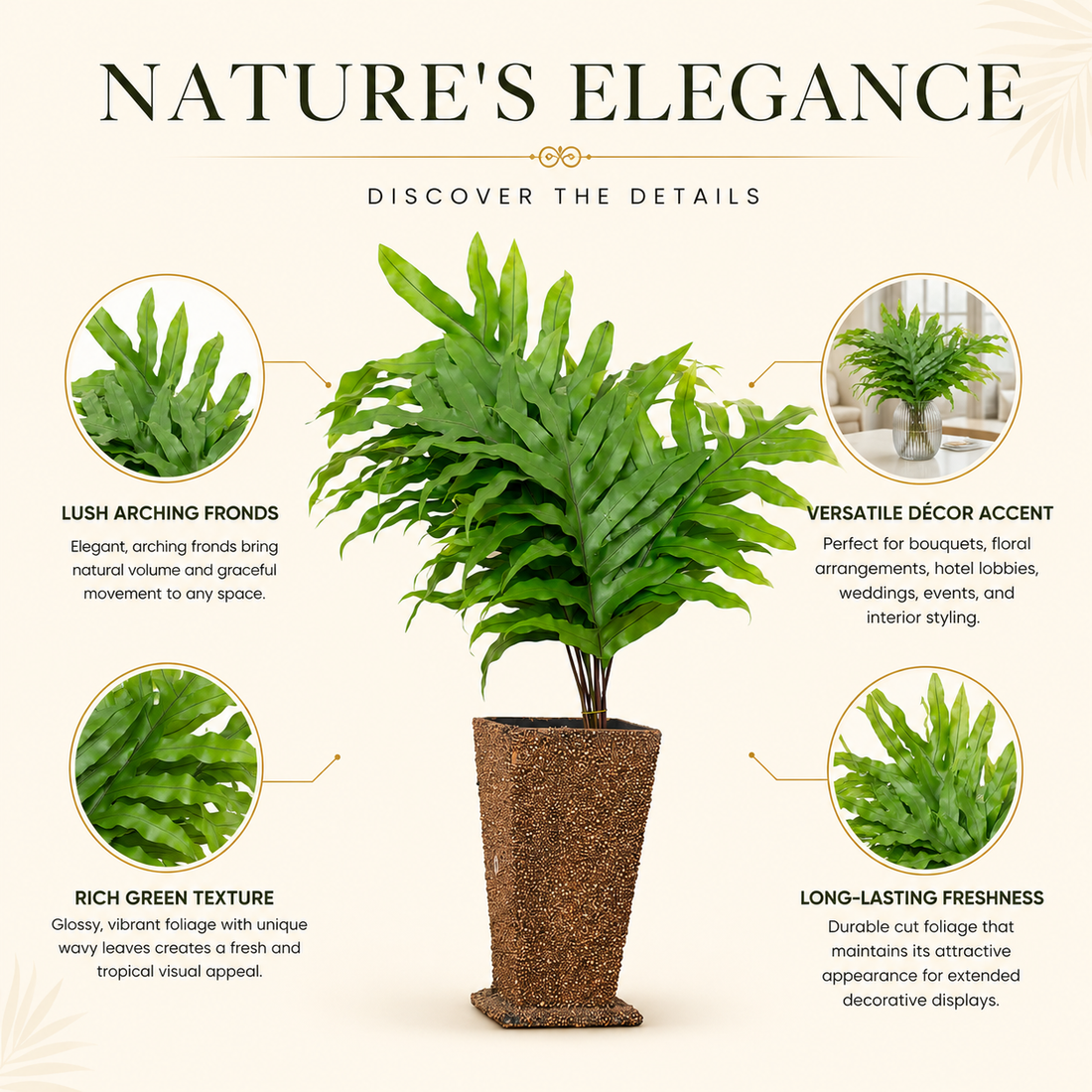 Monarch Fern Foliage – 10 Pcs Fresh Decorative Leaves