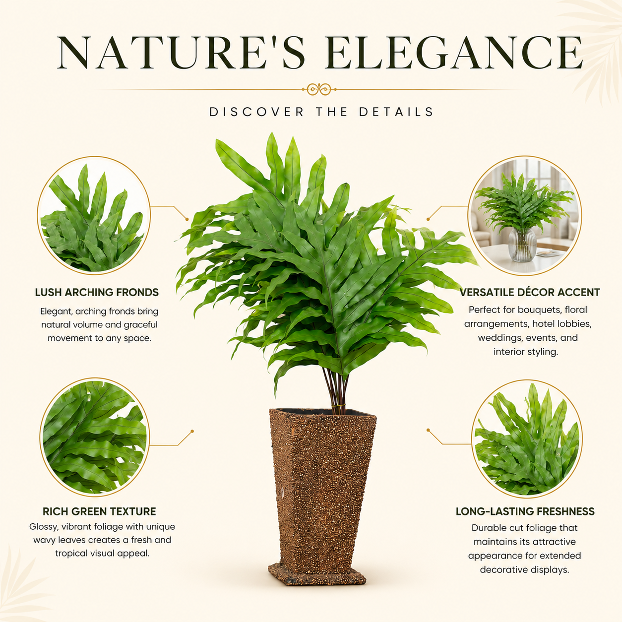 Monarch Fern Foliage – 10 Pcs Fresh Decorative Leaves