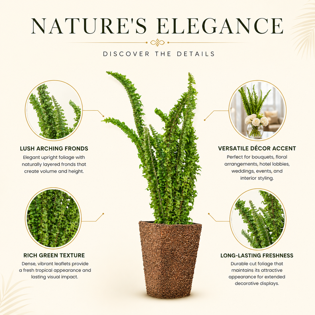 Fluffy Ruffle Fern Foliage – Fresh Decorative Leaves