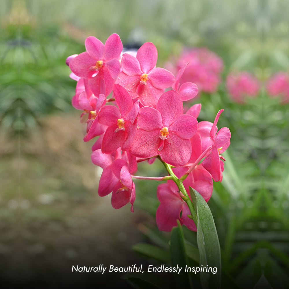 lookbook image shop_this_look_AVdw3f