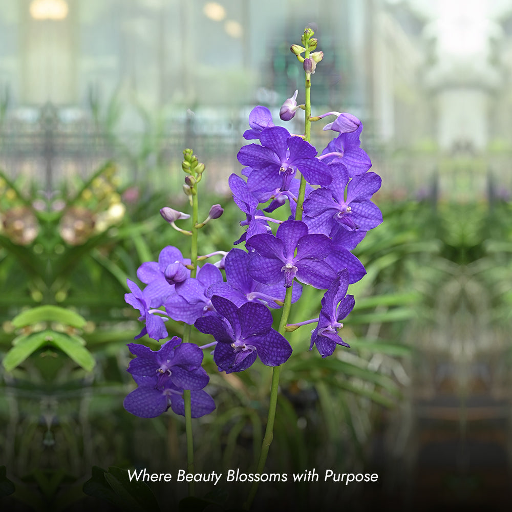 lookbook image shop_this_look_EcLGgQ