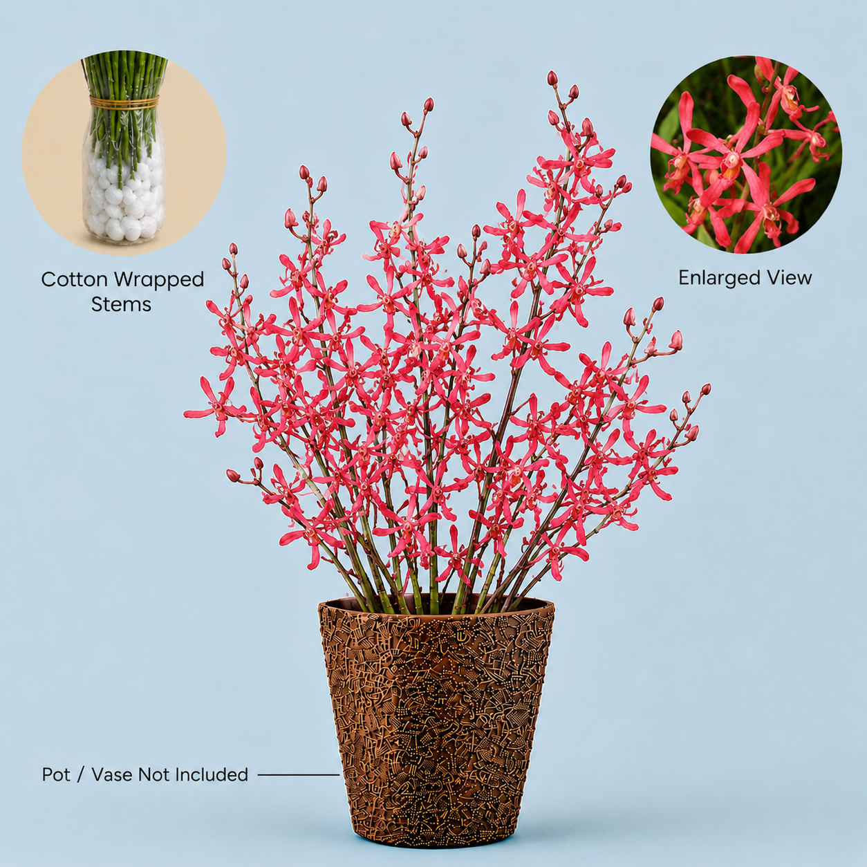 JS Red Flowers – 10 Stems for Decoration & Gifting