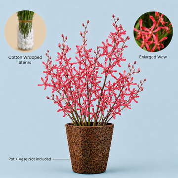 JS Red Flowers – 10 Stems for Decoration & Gifting