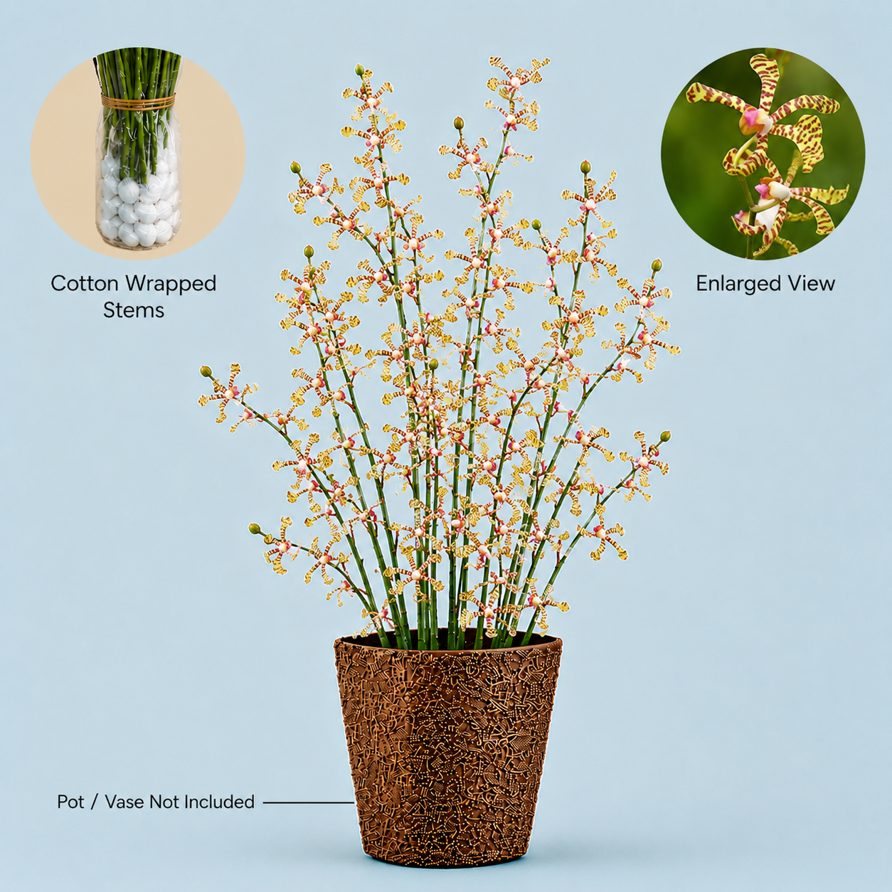 Spider Red Orchids – 10 Stems