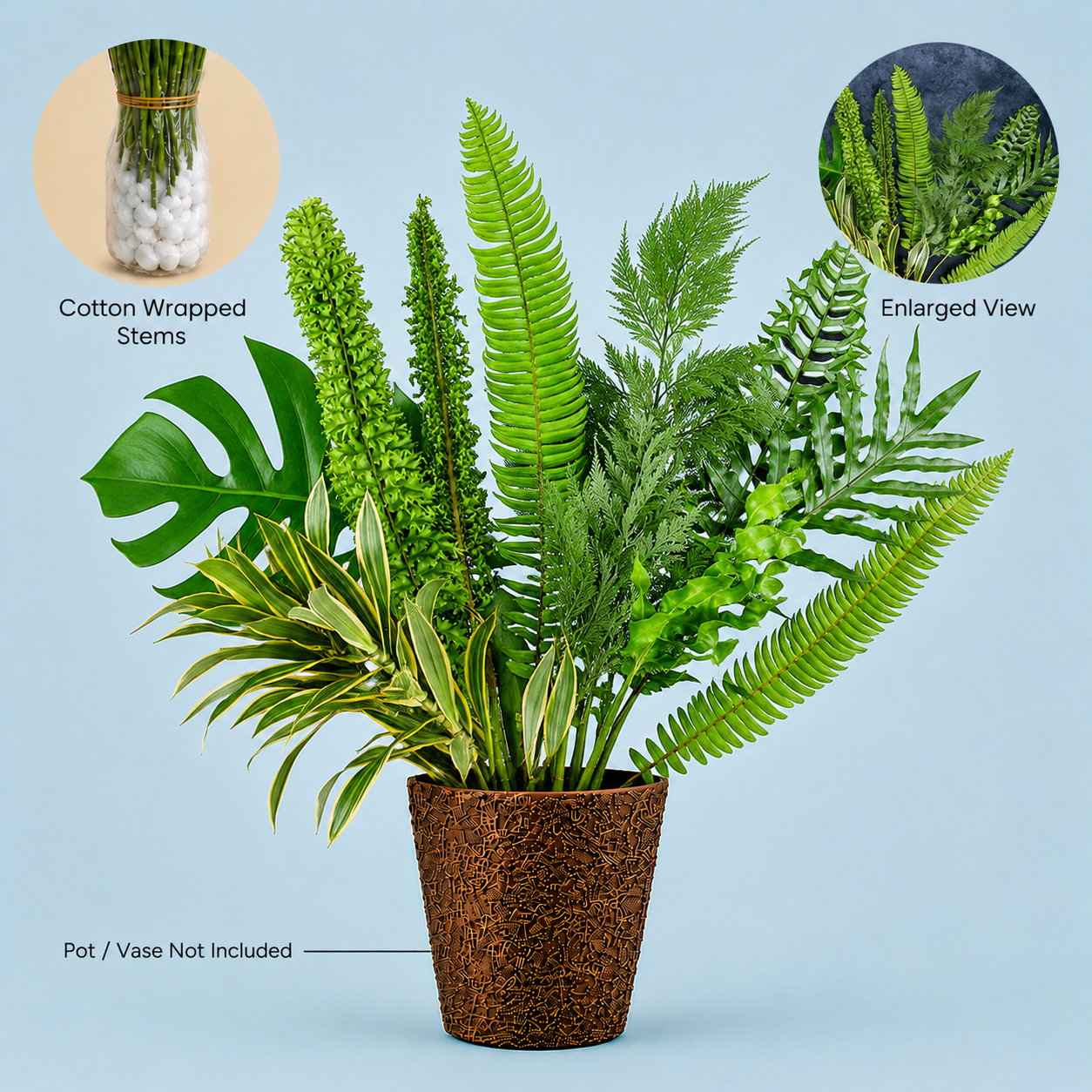 Assorted Tropical Orchid Cut Foliages