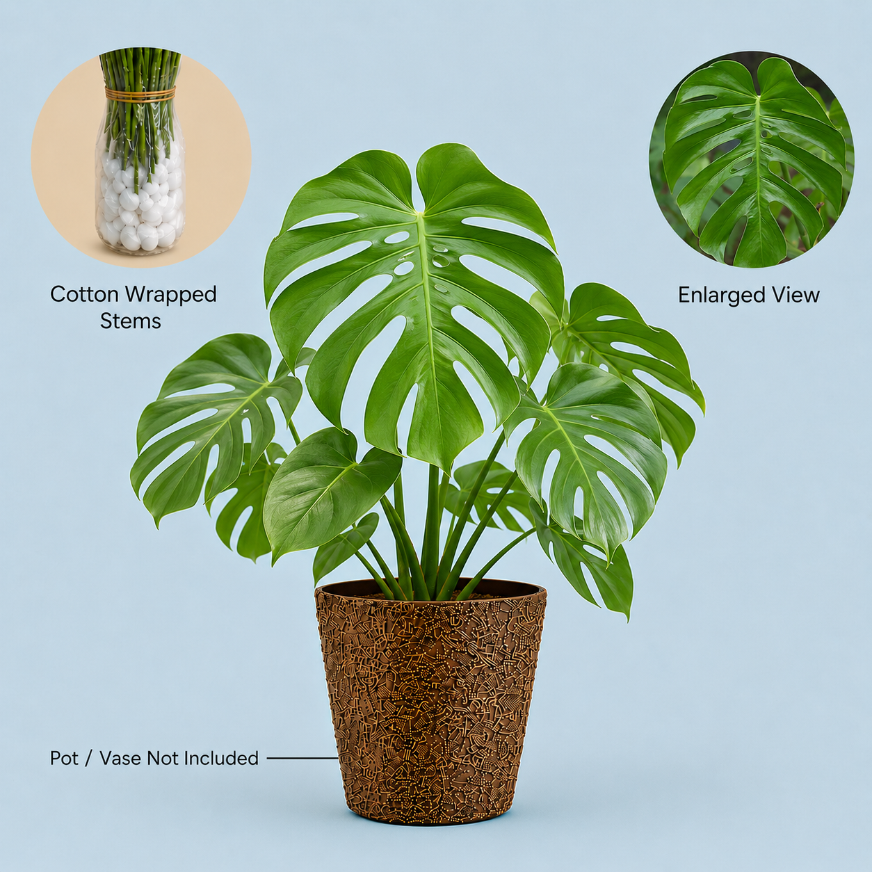 Monstera Deliciosa Foliage – 10 Pcs Fresh Tropical Leaves