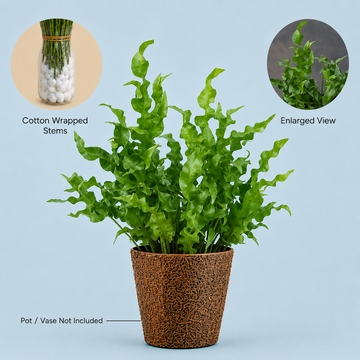 Green Wave Foliage – Premium Cut Leaves