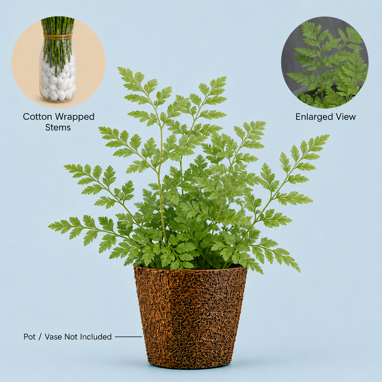 Leatherleaf Fern Foliage – Fresh Cut Leaves for Décor
