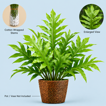 Monarch Fern Foliage – 10 Pcs Fresh Decorative Leaves