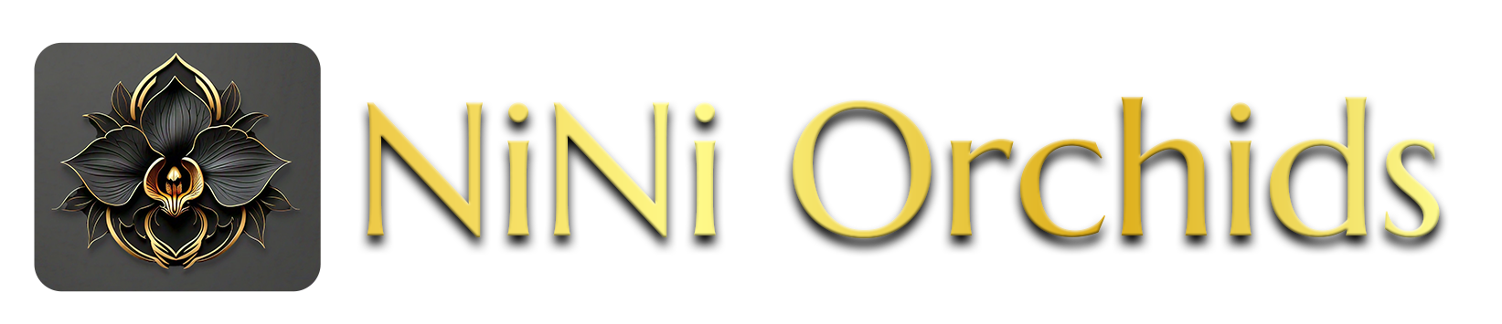Nini Orchids