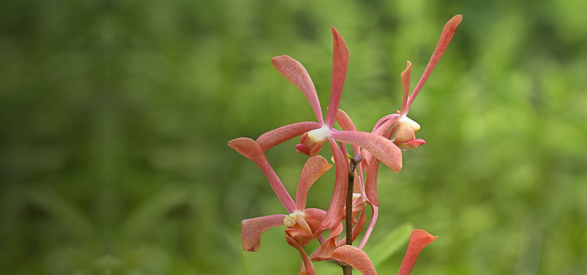 slider image 1621243260e1af0c20-1