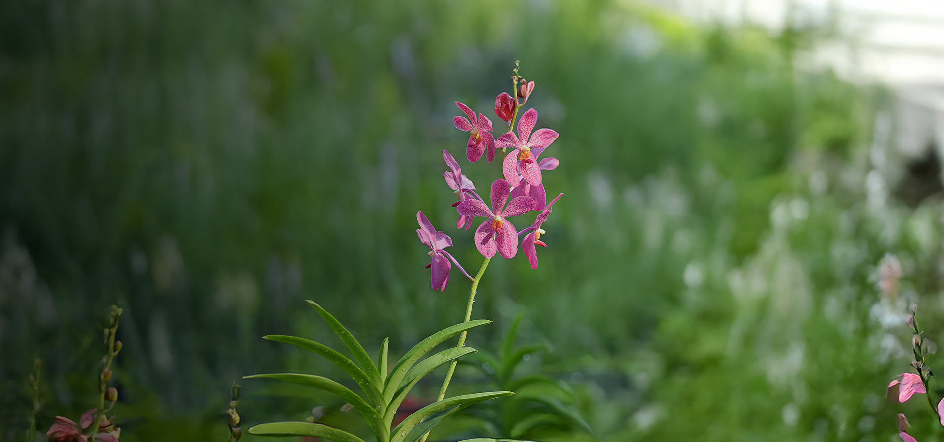 slider image 1621243260e1af0c20-2