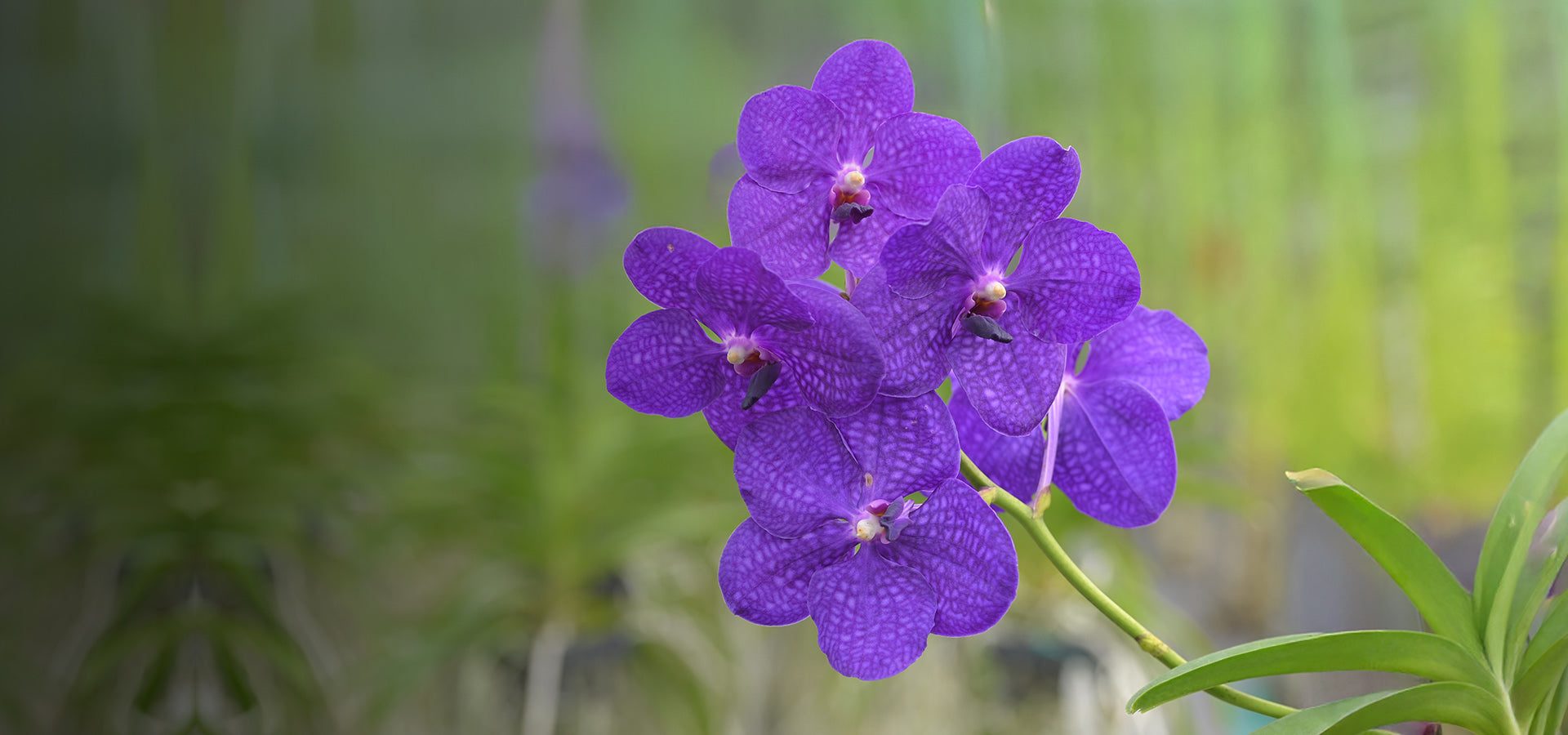 slider image slider_item_wnmtMh